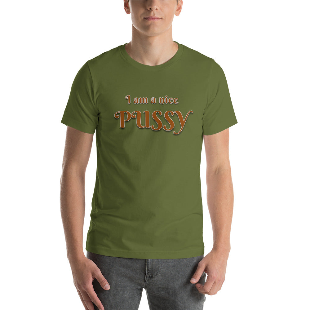 I am A Nice Pussy T-Shirt