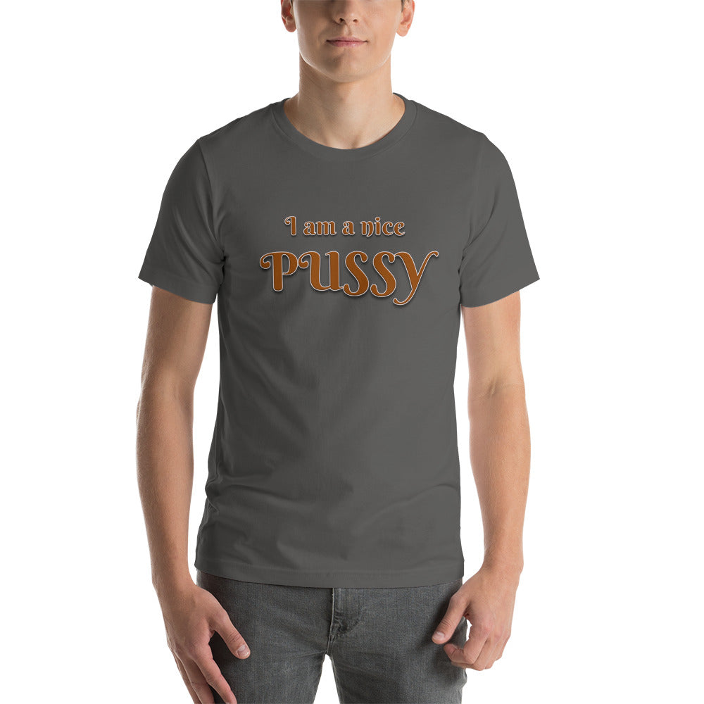 I am A Nice Pussy T-Shirt